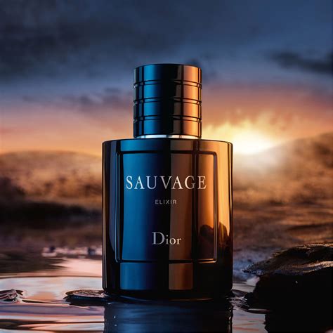 dior sauavge elixir|dior sauvage elixir 60ml price.